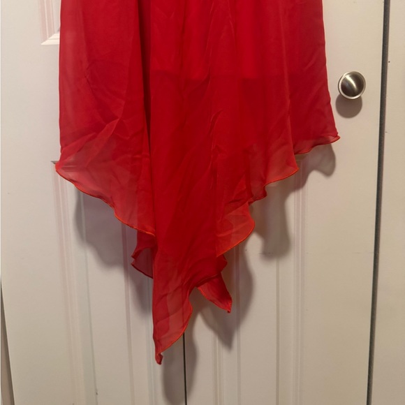 Wild Daisy Strapless Dress – Medium – White & Red Tulle - Picture 3 of 6